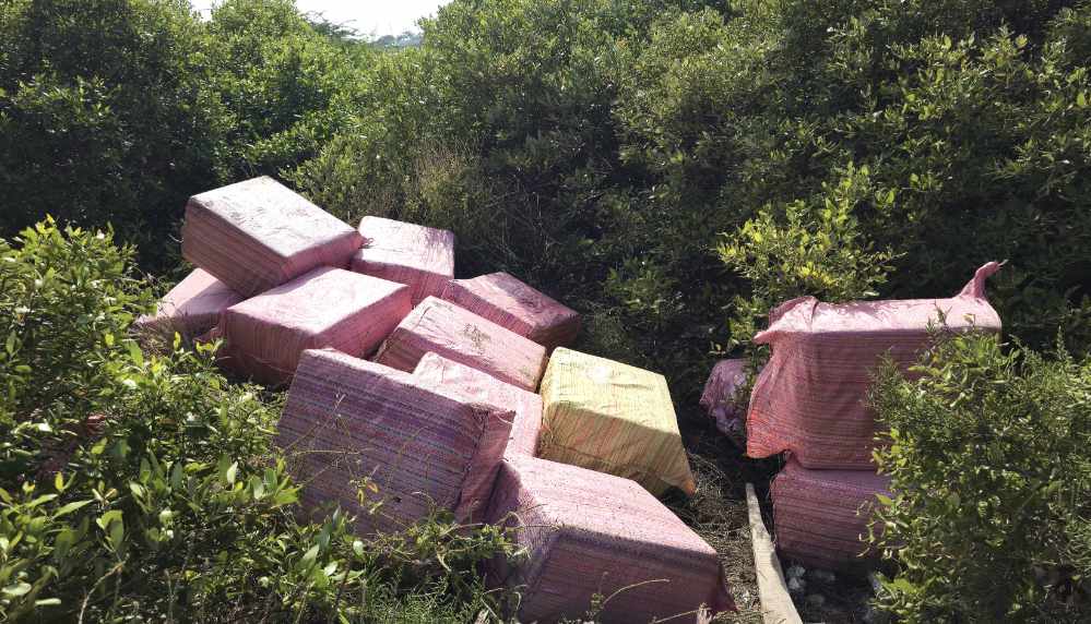 தூத்துக்குடியில் இருந்து இலங்கைக்கு கடத்த முயன்ற ரூ20 லட்சம் மதிப்புள்ள வெடி பொருட்கள் பறிமுதல் 