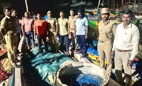 தூத்துக்குடியில் படகில் பதுக்கி வைக்கப்பட்டிருந்த 3 கடல் ஆமைகள் பறிமுதல்