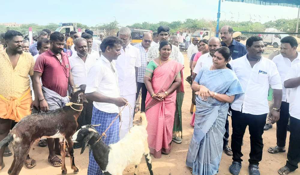தூத்துக்குடி மாப்பிள்ளை யூரணியில் புதிய ஆட்டுச்சந்தை - அமைச்சர் கீதாஜீவன் திறந்து வைத்து 3 கிடாக்களை வாங்கி வியாபாரிகளை உற்சாகப்படுத்தினார்