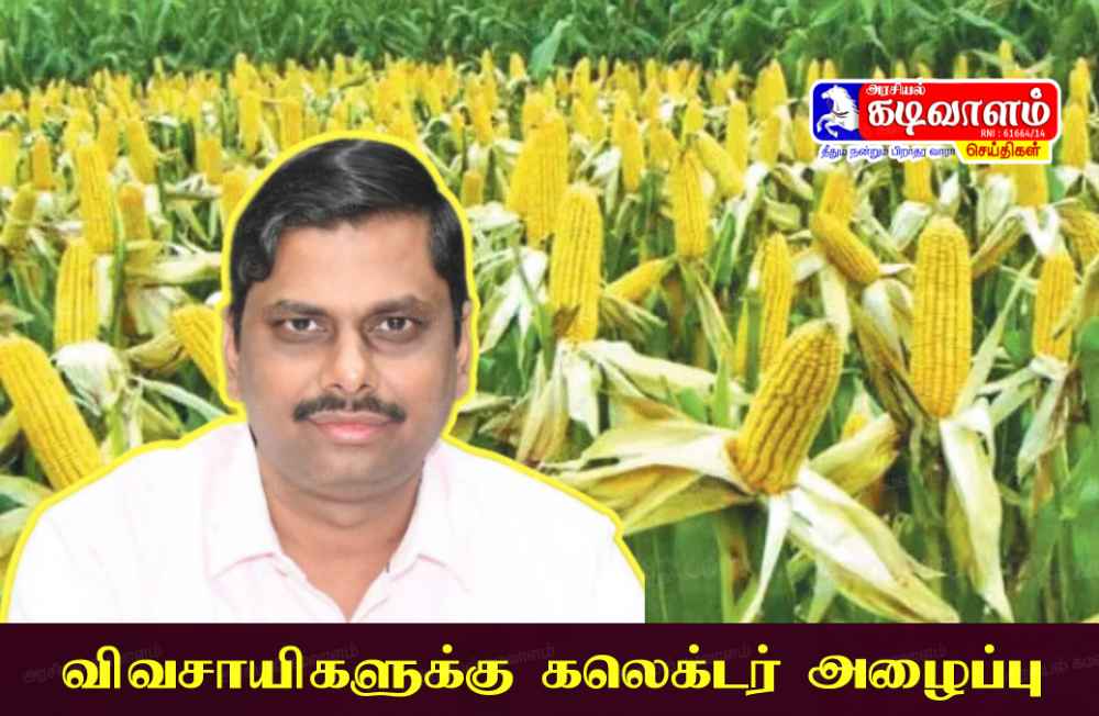 மக்காச்சோளம் திட்டத்தில் தூத்துக்குடி மாவட்டத்திற்கு ரூ.4.37 கோடி நிதி ஒதுக்கீடு விவசாயிகள் பயன்பெற மாவட்ட ஆட்சித்தலைவர் இளம்பகவத் அழைப்பு