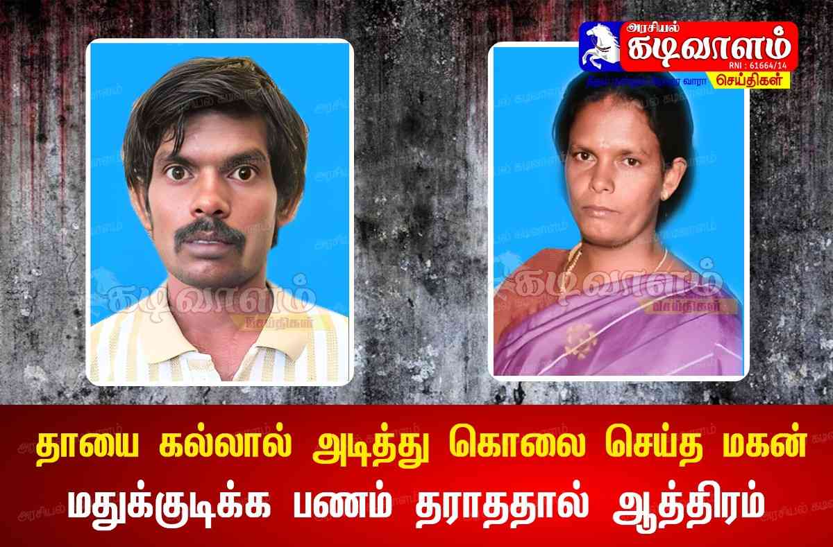 தாயை கல்லால் அடித்து கொலை செய்த மகன் கைது- மதுகுடிக்க பணம் தராததால் ஆத்திரம்