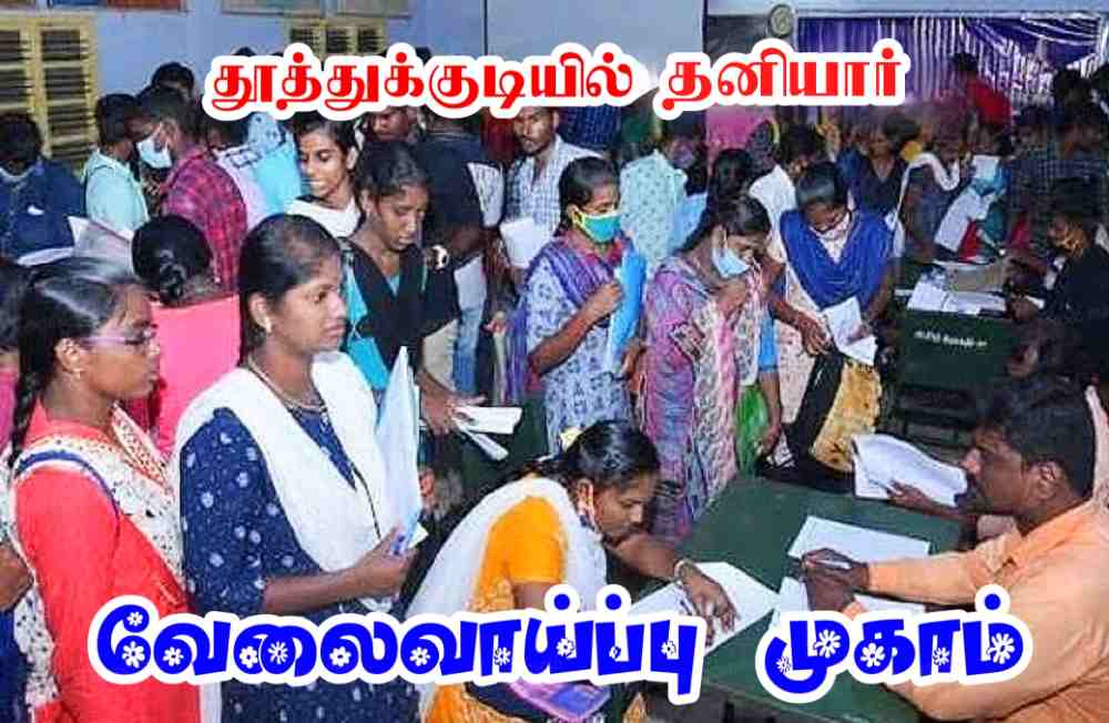 தூத்துக்குடி வ.உ.சி கல்லூரியில் பிப்:22ஆம் தேதி மாபெரும் தனியார்துறை வேலைவாய்ப்பு முகாம் - கலெக்டர் இளம்பகவத் தகவல் 