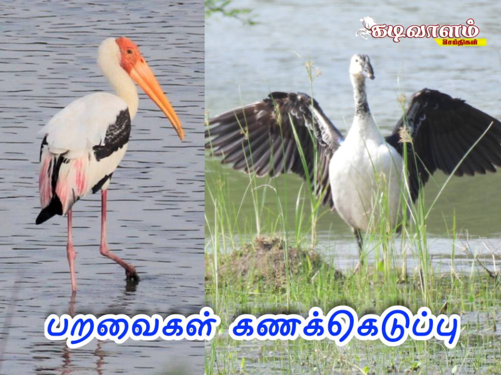 தமிழகம் முழுவதும் ஒருங்கிணைந்த பறவைகள் கணக்கெடுப்பு பணி வருகிற 8-ந்தேதி தொடங்குகிறது.