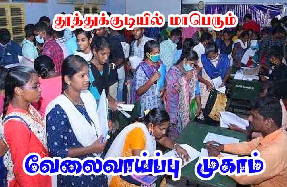 தூத்துக்குடி வ.உ.சி கலைக் கல்லூரியில் அக்: 5ஆம்தேதி மாபெரும் தனியார்துறை வேலைவாய்ப்பு முகாம்- கலெக்டர் இளம்பகவத் தகவல் 