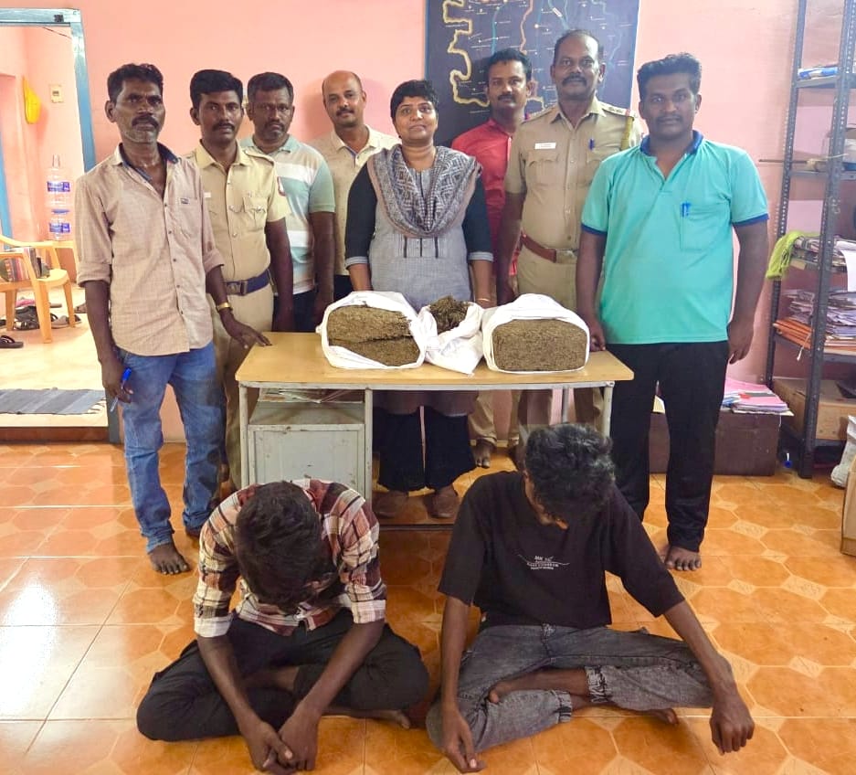 விற்பனைக்காக கஞ்சா வைத்திருந்த இளஞ்சிறார் உட்பட 3 பேர் கைது - 22 கிலோ கஞ்சா பறிமுதல்