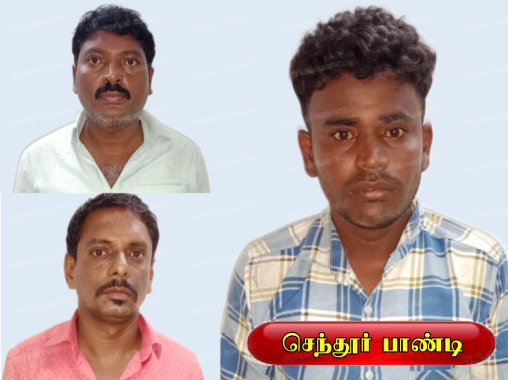 தூத்துக்குடியில் 5 வீடுகளில் தங்க நகைகளை திருடிய பலே திருடன் மற்றும் நகைக்கடை அதிபர் உட்பட 3 பேர் கைது - 25 பவுன் தங்க நகைகள் மீட்பு 